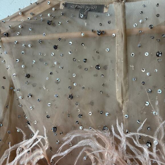 RÊVE RICHE Jasmina Feather Embellished Dusty Rose Sheer Long Sleeve Top Size 42 - Picture 10 of 11